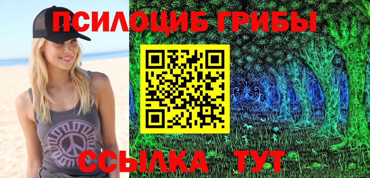 Псилоцибиновые грибы ЛСД Чайковский