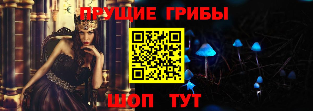 Псилоцибиновые грибы Psilocybine cubensis  Вход с VPN  Чайковский 